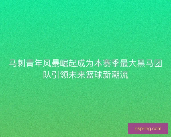 马刺青年风暴崛起成为本赛季最大黑马团队引领未来篮球新潮流